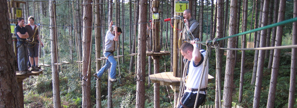Photo of a tree top assault course with ropes